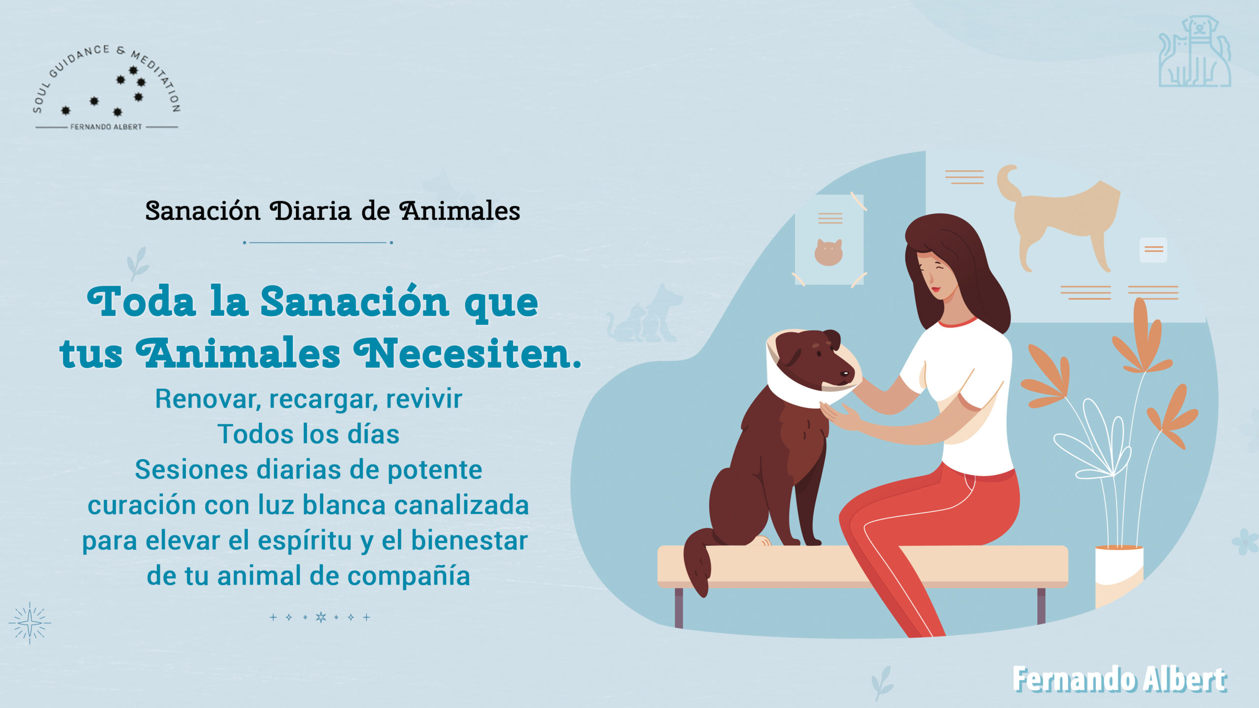 Sanación Diaria de Animales